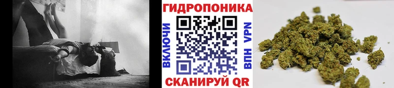 Где можно купить наркотики Пикалёво Бошки Шишки  Кокаин  ГАШ  A PVP  Меф 