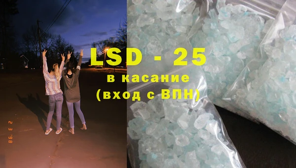 шишки Заволжск