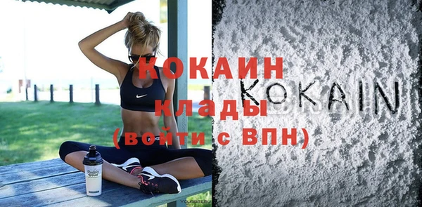 шишки Заволжск