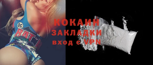 шишки Заволжск