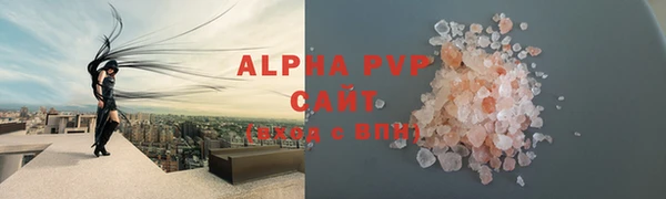 стафф Зерноград