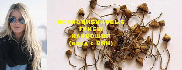шишки Заволжск
