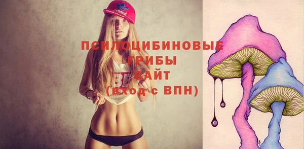 шишки Заволжск